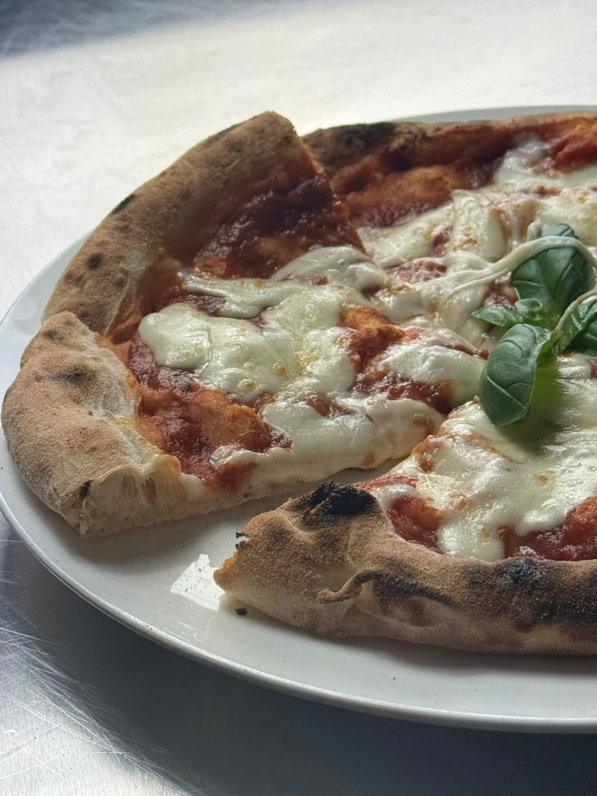 Finished tomato and mozzarella pizza served on a white plate