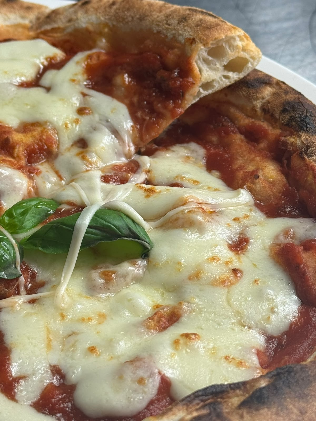 Melted mozzarella, basil and tomato on a crisp pizza base